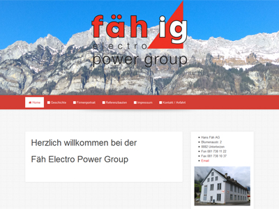 Fäh Electro Power Group